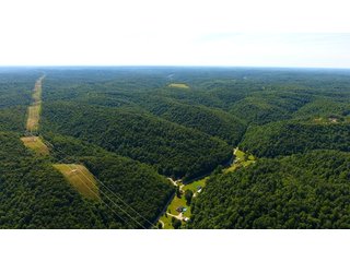 Property photo 11 - LAND AUCTION - 1,682+/- ACRES OFFERED IN 17 TRACTS IN LEWIS & GREENUP COUNTIES, KENTUCKY